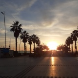 Viareggiomare