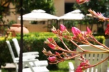 Solemare b&b-Apartment Alghero