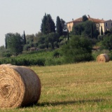 Agriturismo Poggialberi