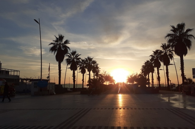 Immagine 1