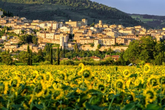 Immagine 1